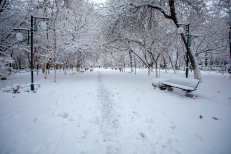 Boulevard of Samarkand covered with snow
